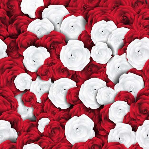 白色红色玫瑰花矢量唯美背景