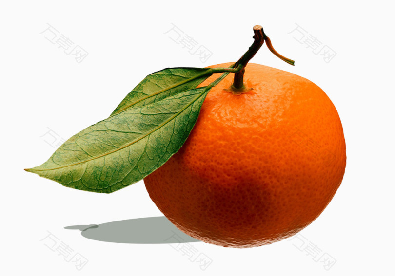 刚摘的新鲜橘子