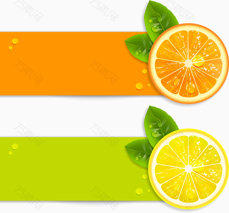 矢量新鲜的柠檬橙子水果素材