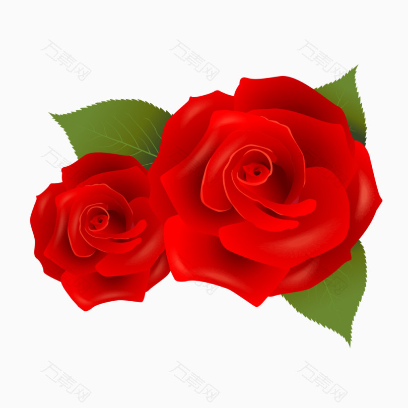 鲜花美丽红玫瑰
