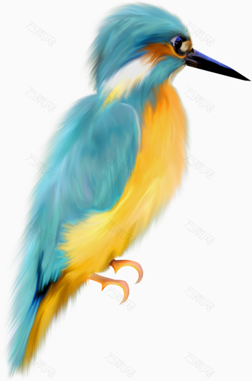 鸟的素材手绘动物元素