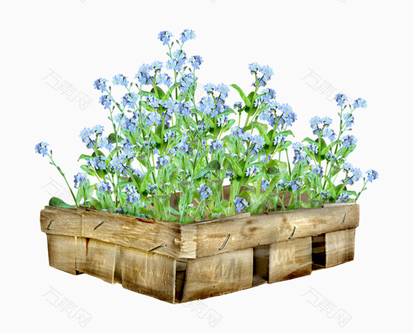 卡通手绘木盒植物花卉