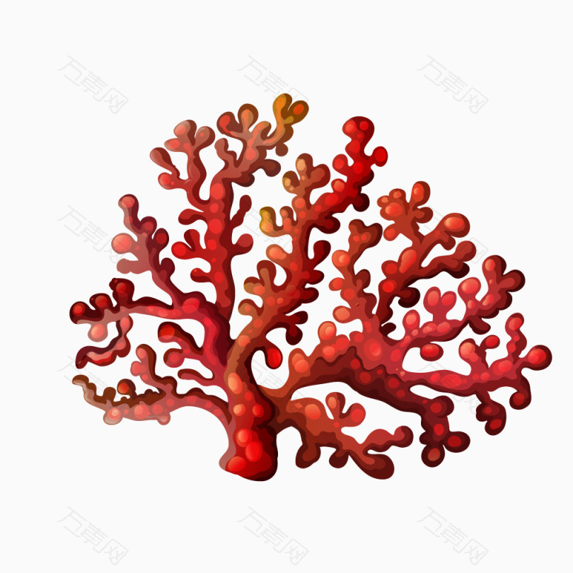 红色珊瑚海底生物