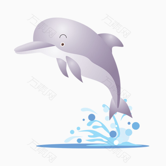 紫色海豚