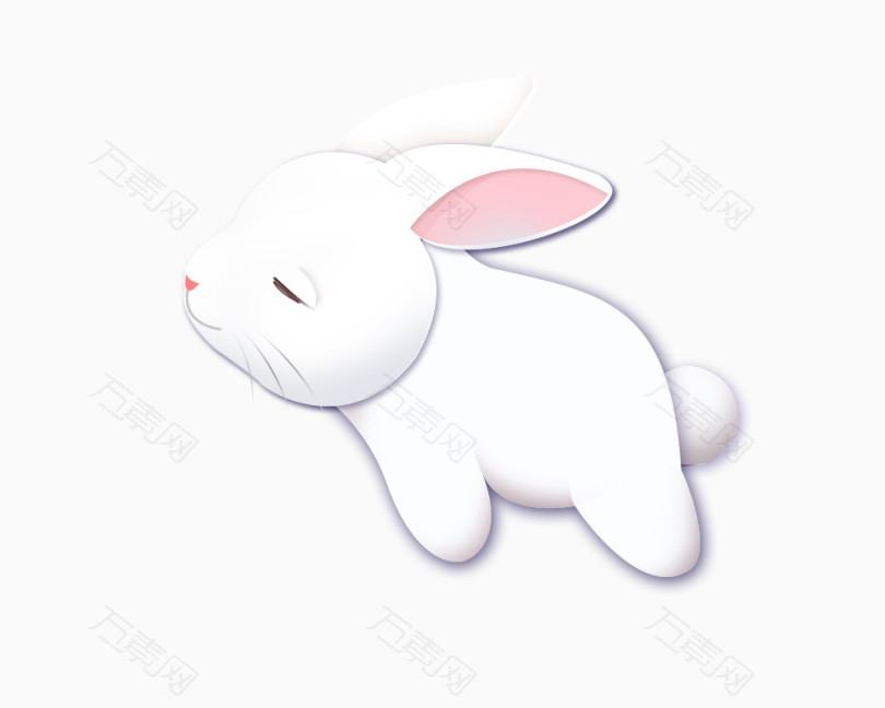 2023兔年生肖兔可爱兔子