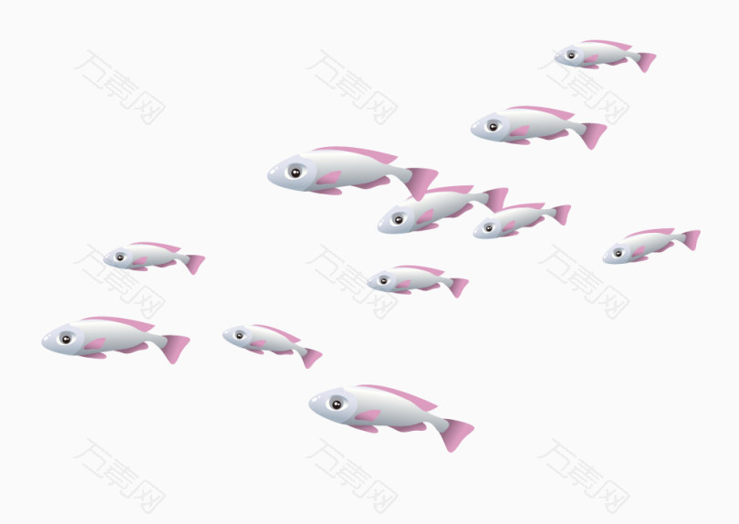 粉色白色相间的小鱼群