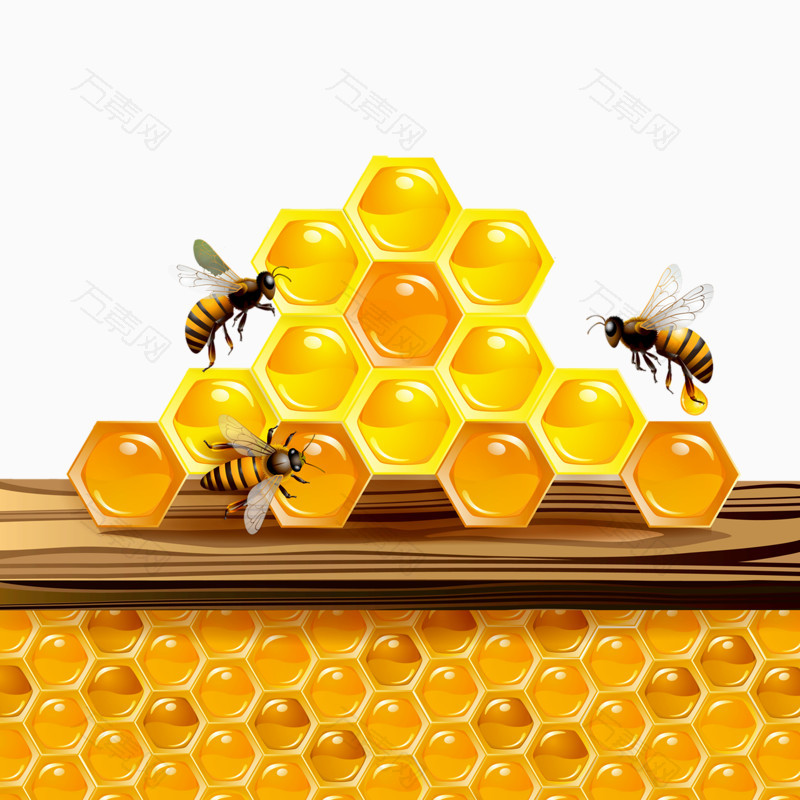 手绘蜂蜜与小蜜蜂