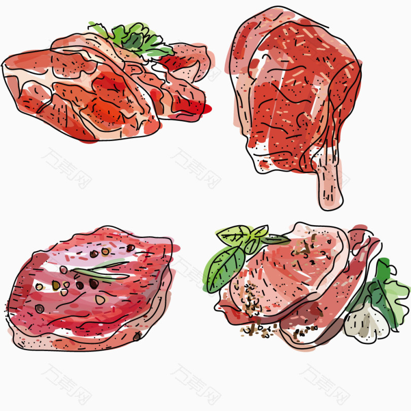 矢量绘画肉类实样