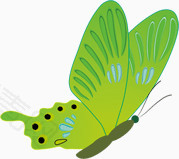 绿色飞舞的蝴蝶
