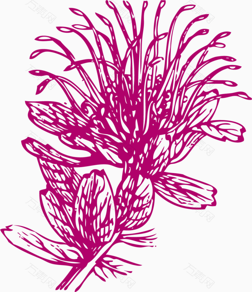 线描手绘精致的花朵