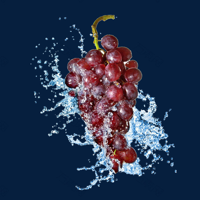 水花葡萄