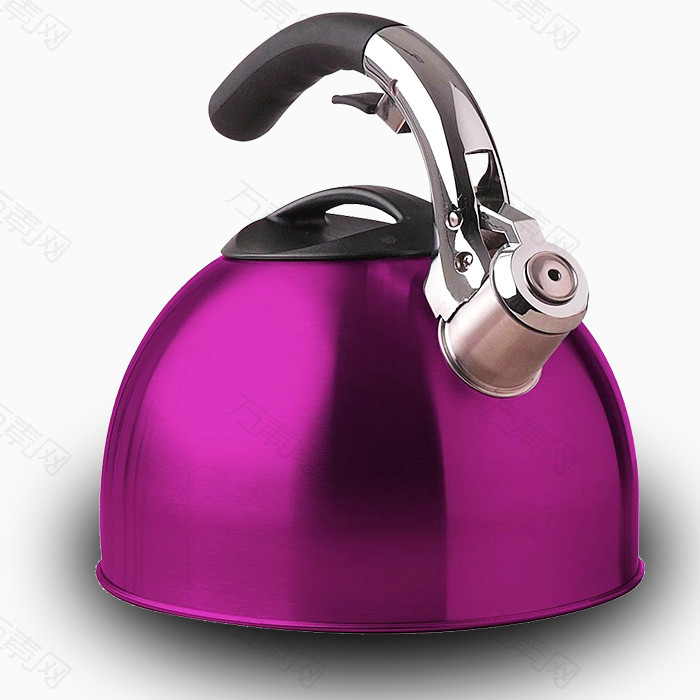 紫色不锈钢家用电热水壶