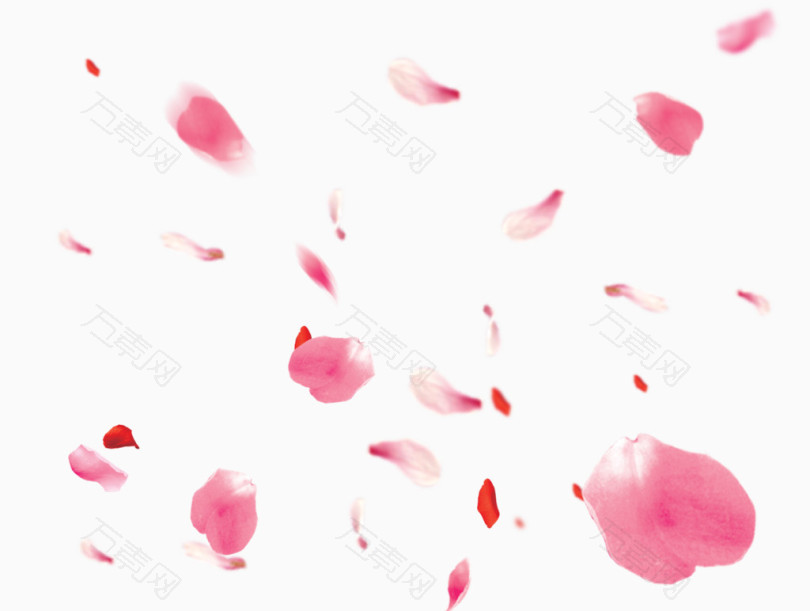 粉红玫瑰花花瓣漂浮装饰