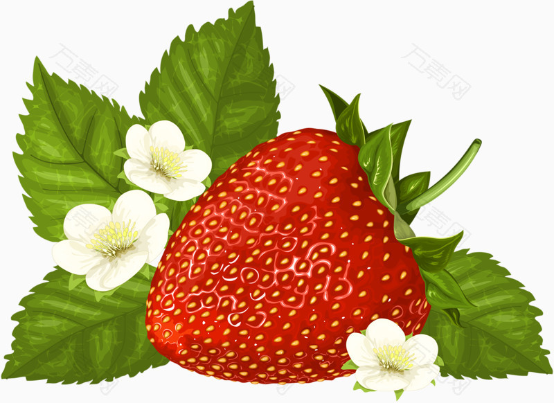 美味草莓