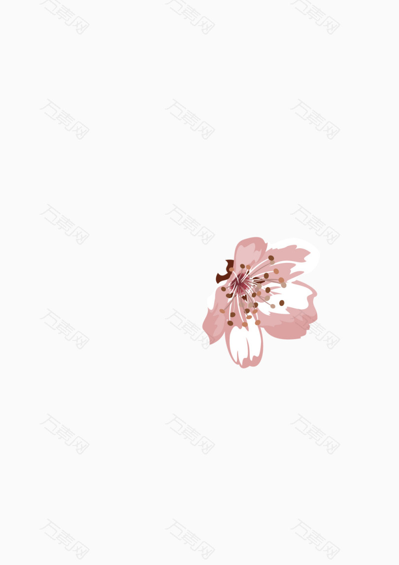 淡粉色花蕊