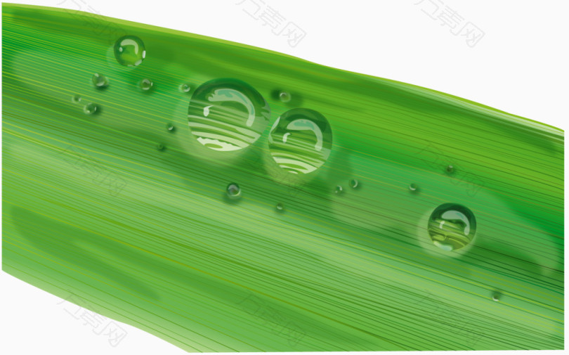 绿叶上滚动的水珠矢量素材