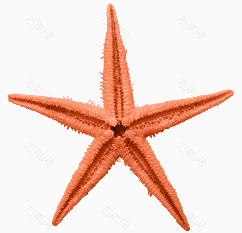 橙色五角星