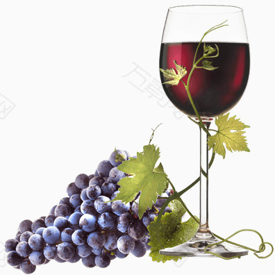 葡萄和红酒杯