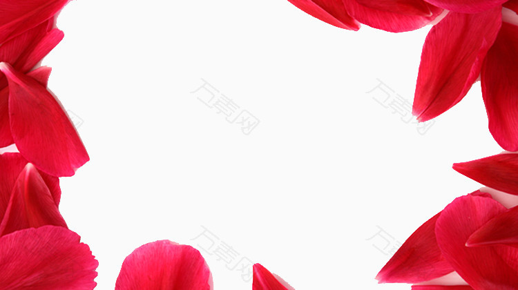 红色花瓣素材