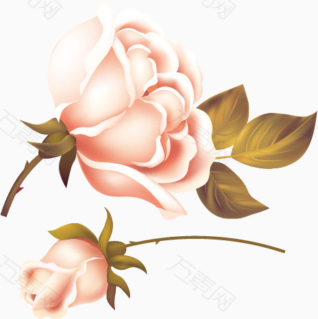 白玫瑰装饰元素