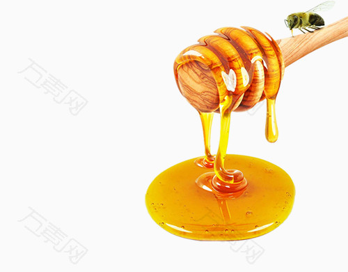 黄色蜂蜜蜜蜂
