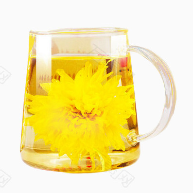 玻璃壶中的贡菊