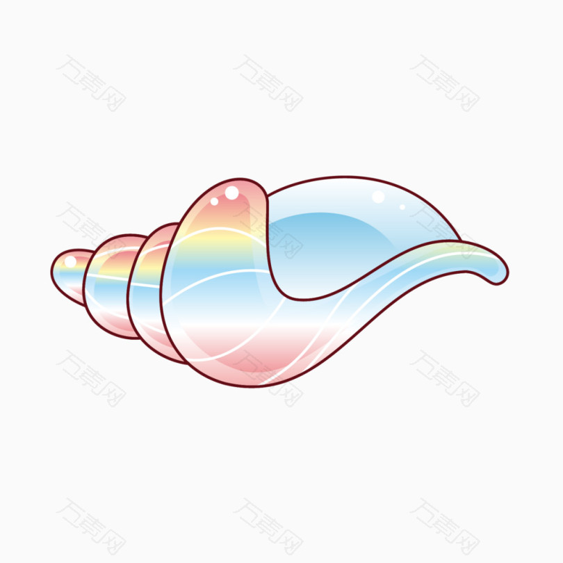 绚丽海螺