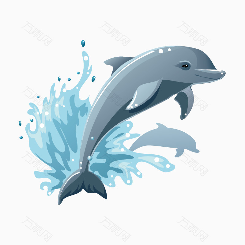 海豚矢量图形
