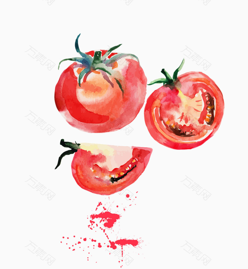 矢量红色手绘蔬菜西红柿