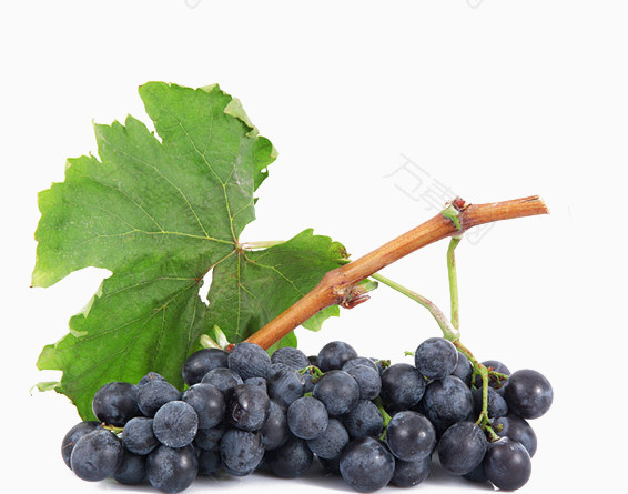 夏黑葡萄水果