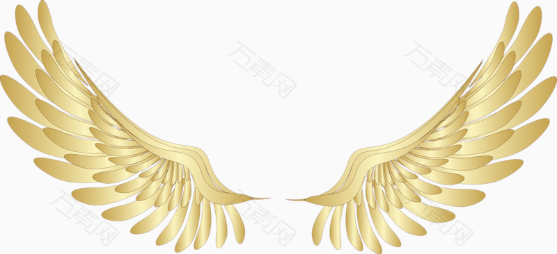 金色翅膀图案