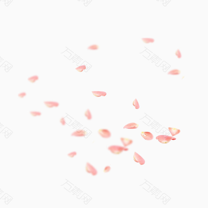 粉色玫瑰花瓣素材