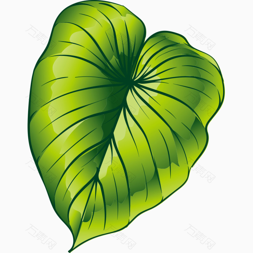 卡通手绘植物绿叶