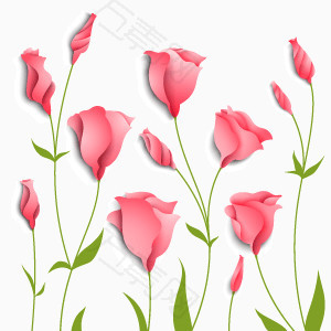 免扣背景PNG素材花卉玫瑰花淡粉色矢量图
