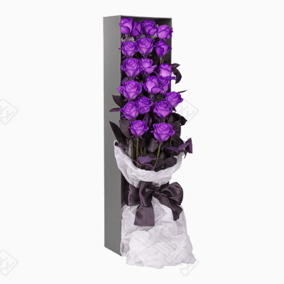 紫色玫瑰花礼物盒