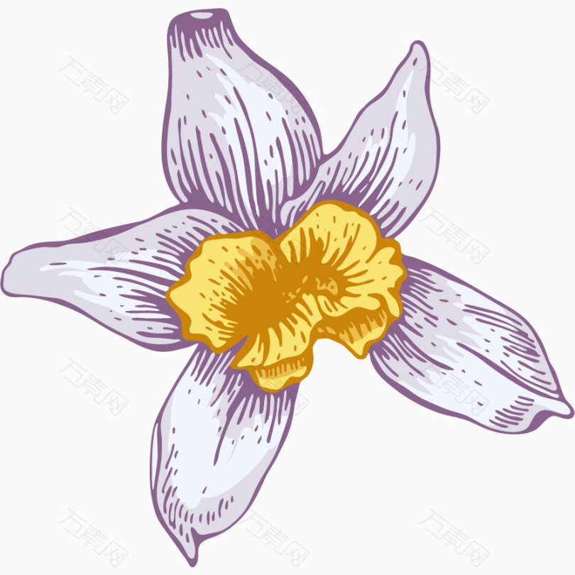 卡通手绘复古水彩紫色花朵