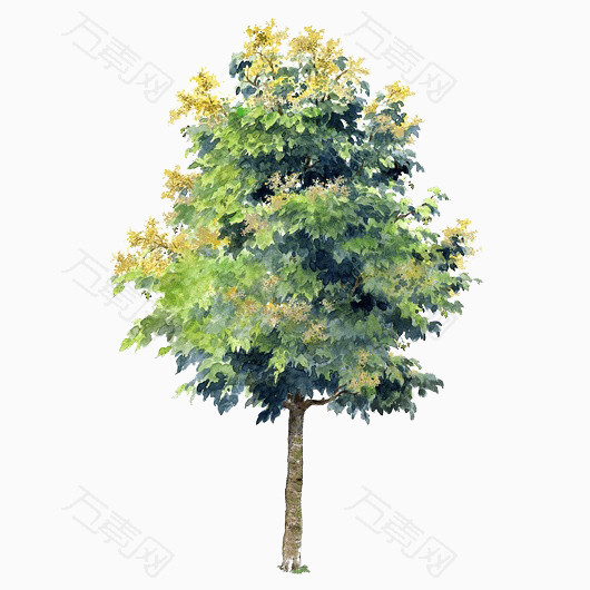 手绘树木图片卡通树木元素