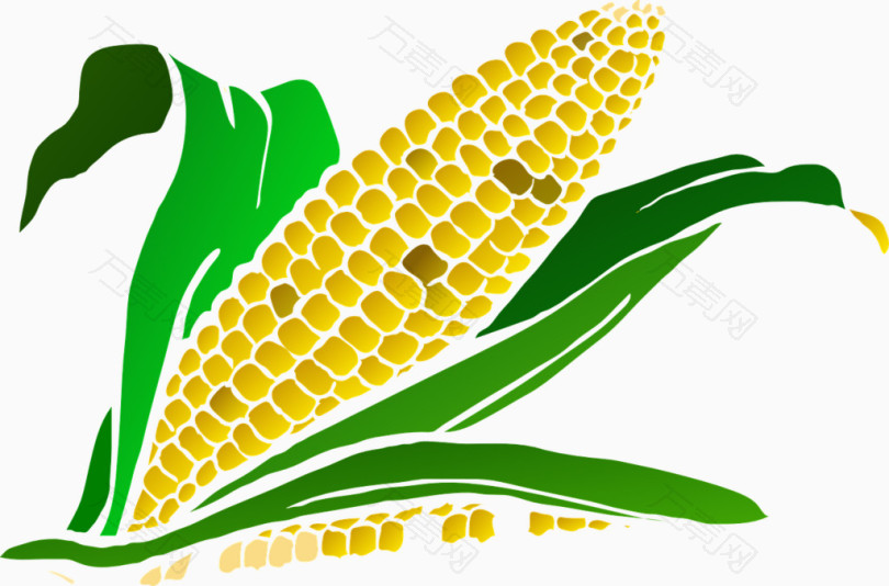 绿色食物玉米