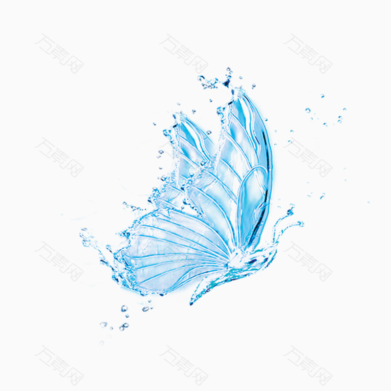 水蝴蝶