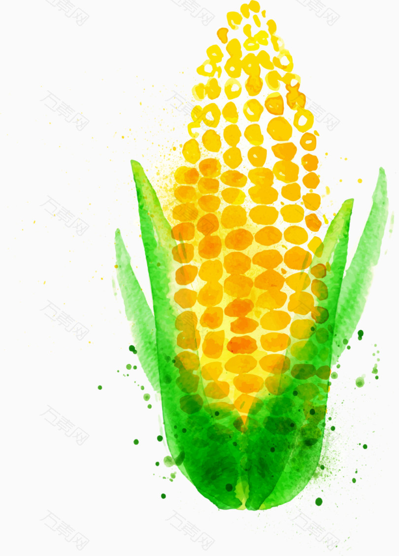 卡通水彩蔬菜玉米