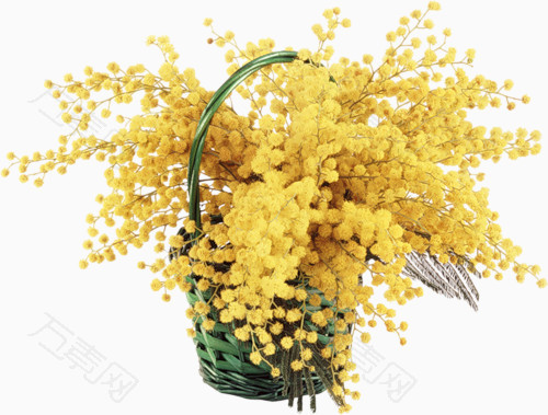黄色花卉植物花篮素材