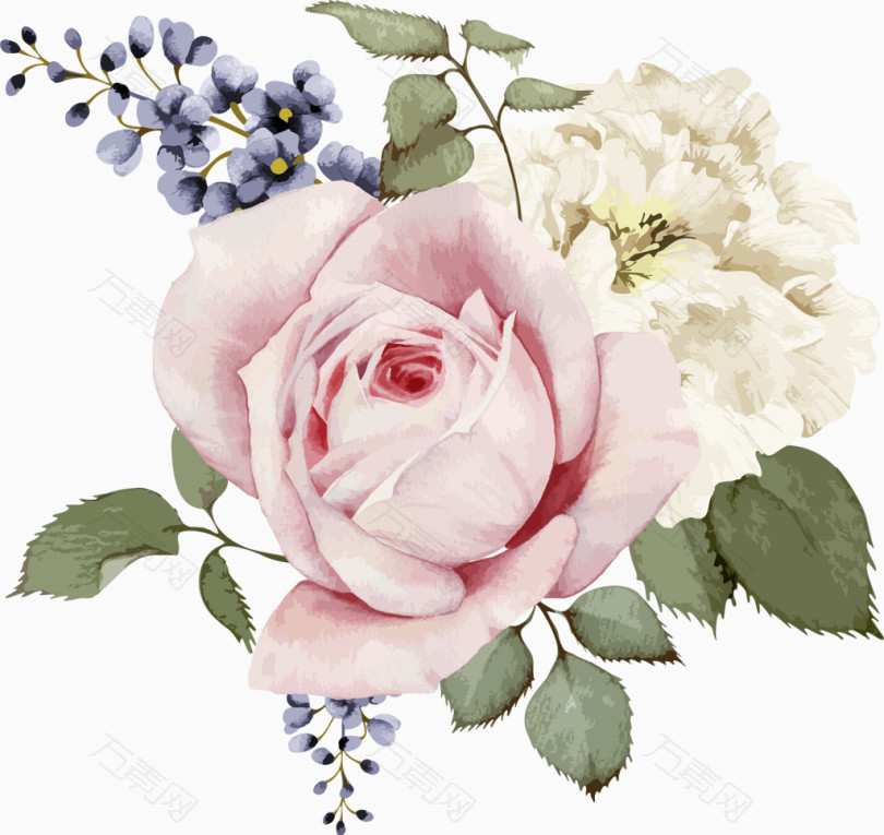 粉玫瑰和白玫瑰水彩卡通手绘装饰元素