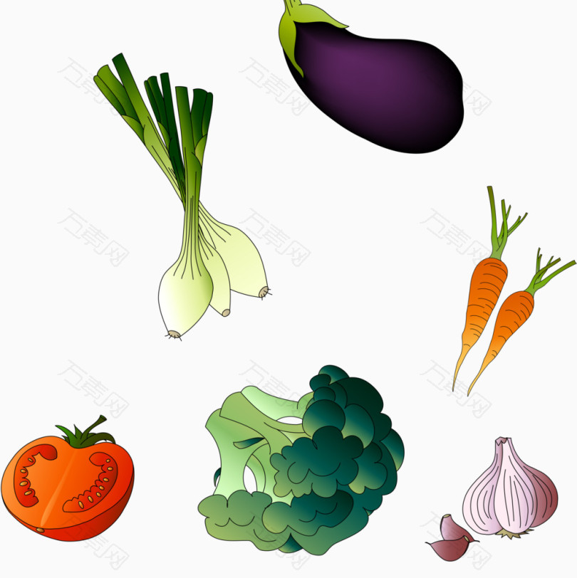多种色泽亮丽的蔬菜