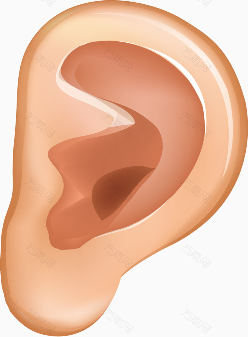 耳朵png矢量素材
