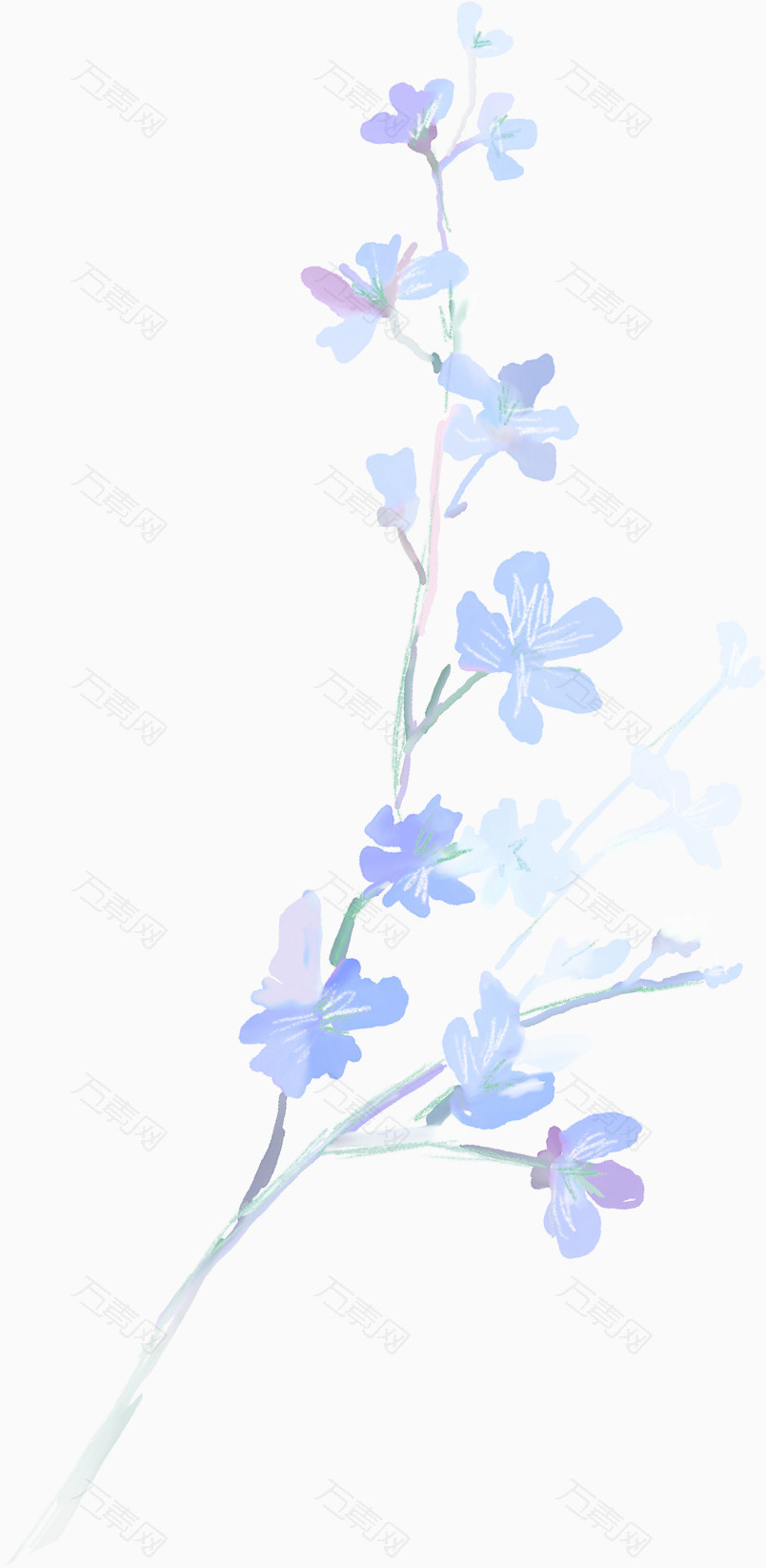 蓝色花枝