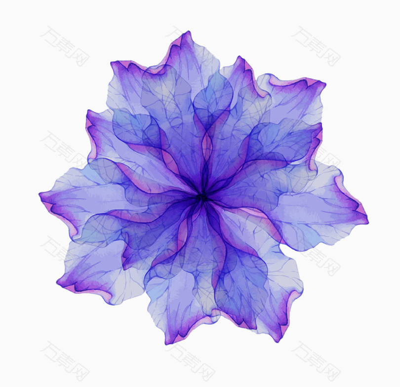 水彩蓝紫透明花