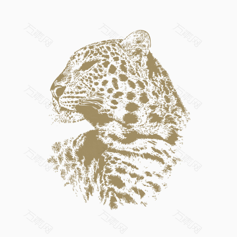 T恤图案动物豹