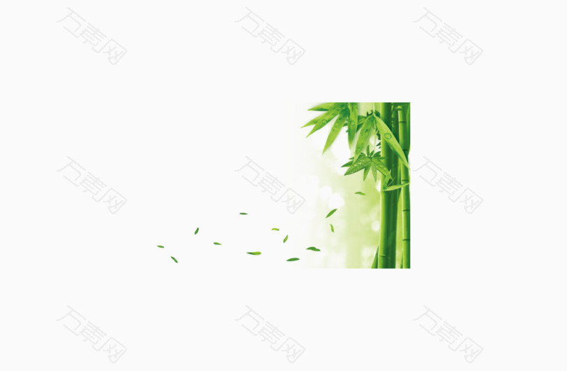 环保素材竹子叶落
