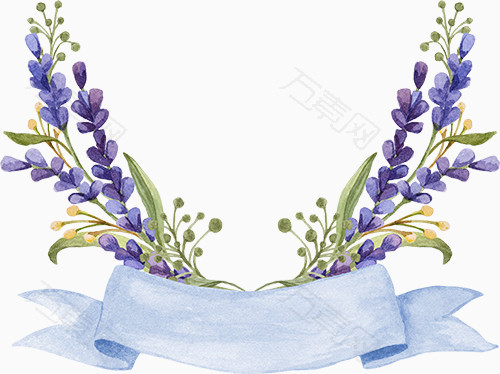 紫花和蓝带