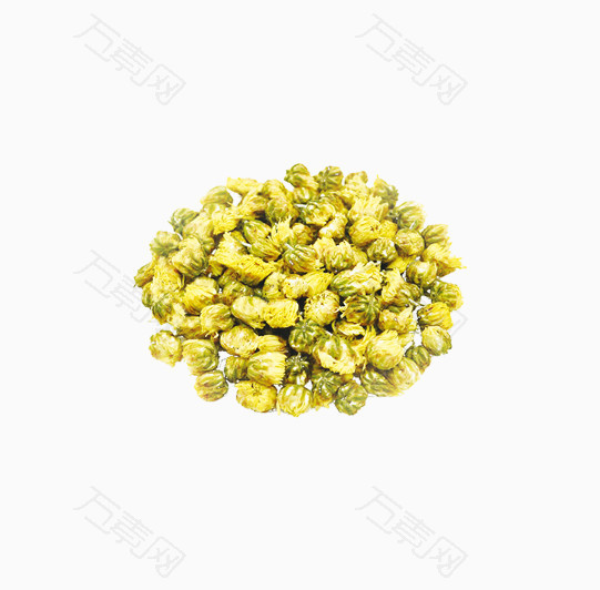 黄色杭胎菊